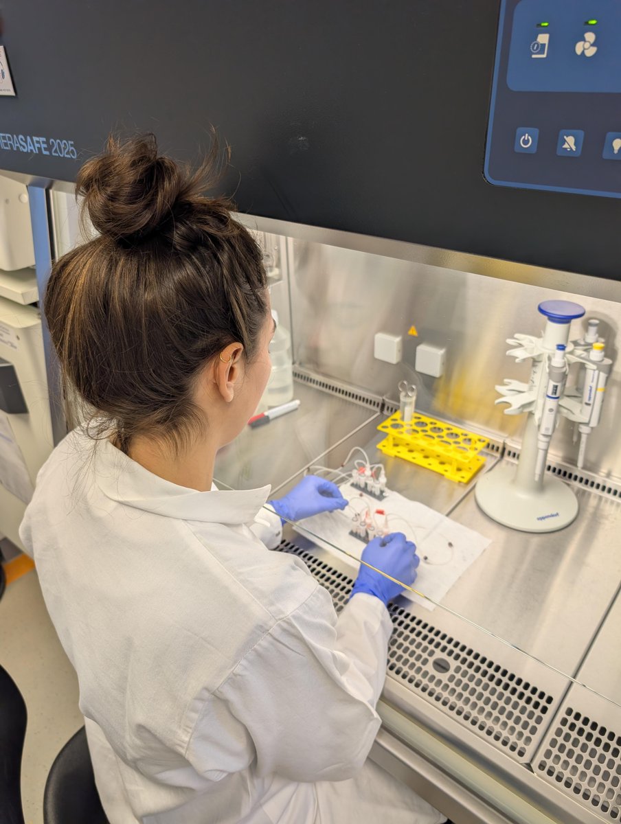 Dynamic42 GmbH tweet media