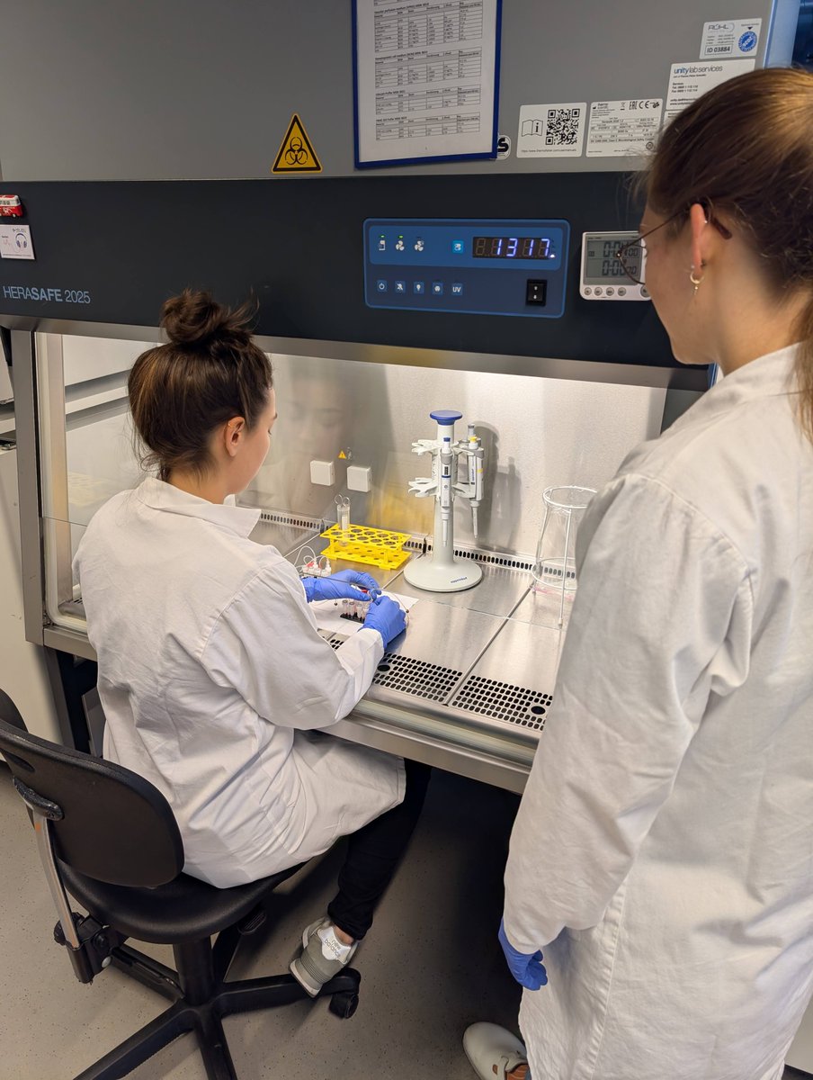 Dynamic42 GmbH tweet media