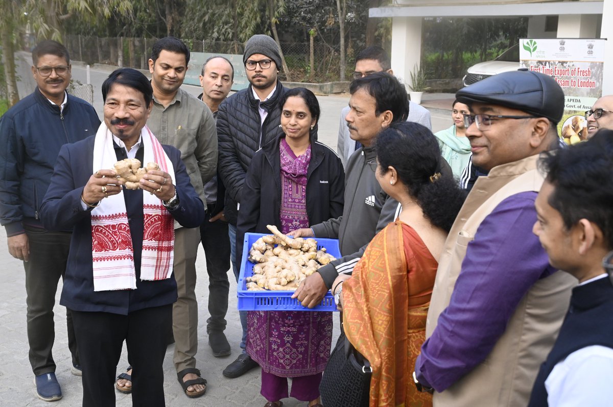 CMOfficeAssam's tweet photo. Now people in London will find Assam’s finest ginger at their doorsteps! 🇬🇧🌱

Under the dynamic leadership of Hon’ble CM Dr. @himantabiswa, the first-ever GI-tagged Karbi Anglong Ginger consignment has been exported from Assam to London.

This milestone, facilitated by APEDA, highlights Assam’s growing global agri footprint and ensures better returns for our hardworking farmers.

From the fertile farms of Assam to international markets, the world is embracing Assamese products with great enthusiasm and appreciation. 🌍