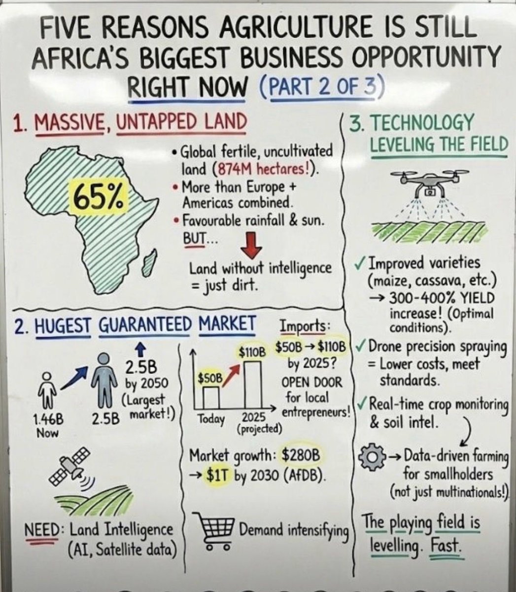 Nixon Mageka tweet media