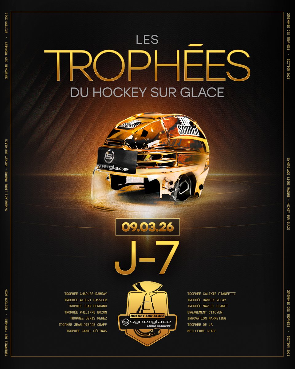 Synerglace Ligue Magnus tweet media