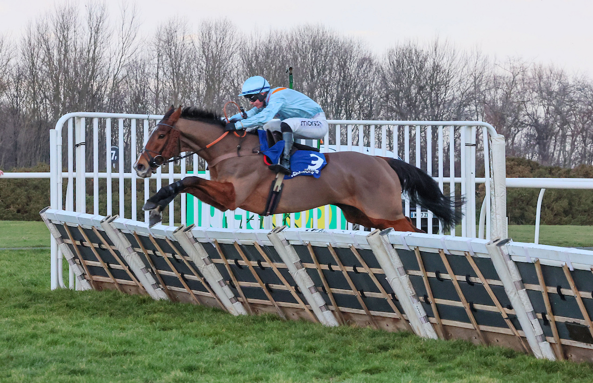 Middleham Park Racing tweet media