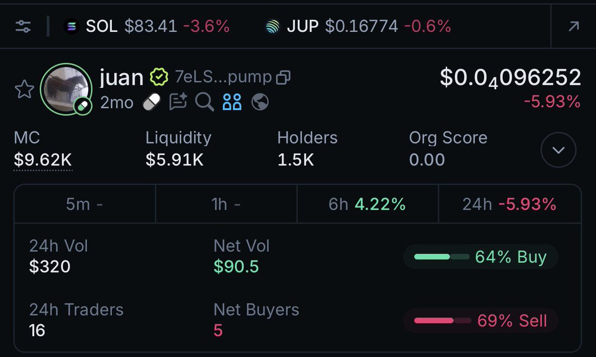 Chinchilla Haton Linda tweet media