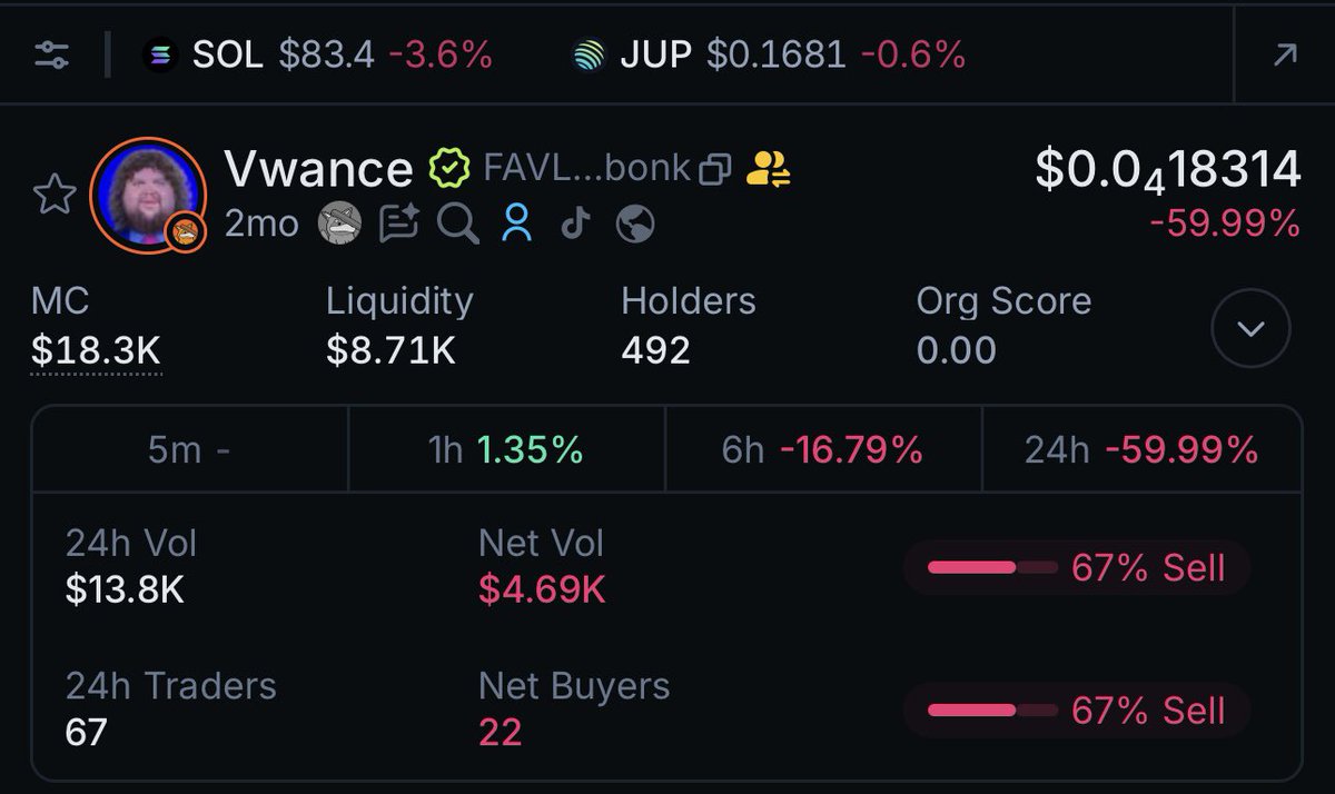 Chinchilla Haton Linda tweet media