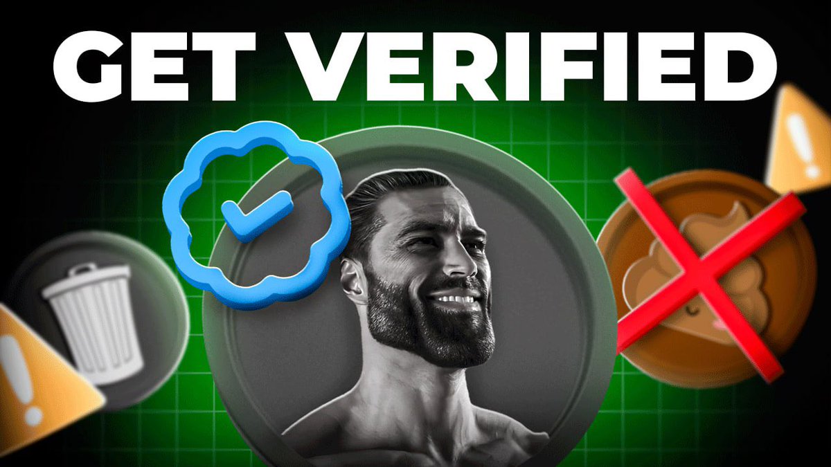 Chinchilla Haton Linda tweet media