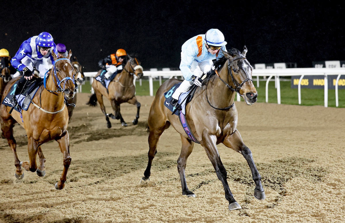 Middleham Park Racing tweet media