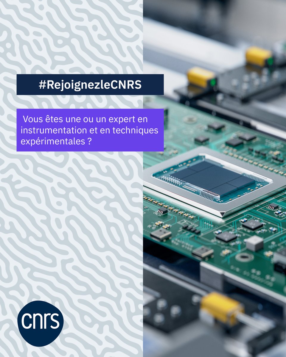 CNRS à Paris-Saclay tweet media