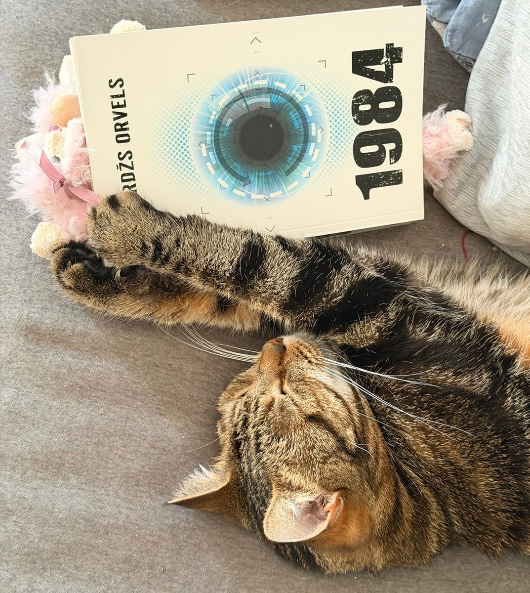 Ivars Forands tweet media