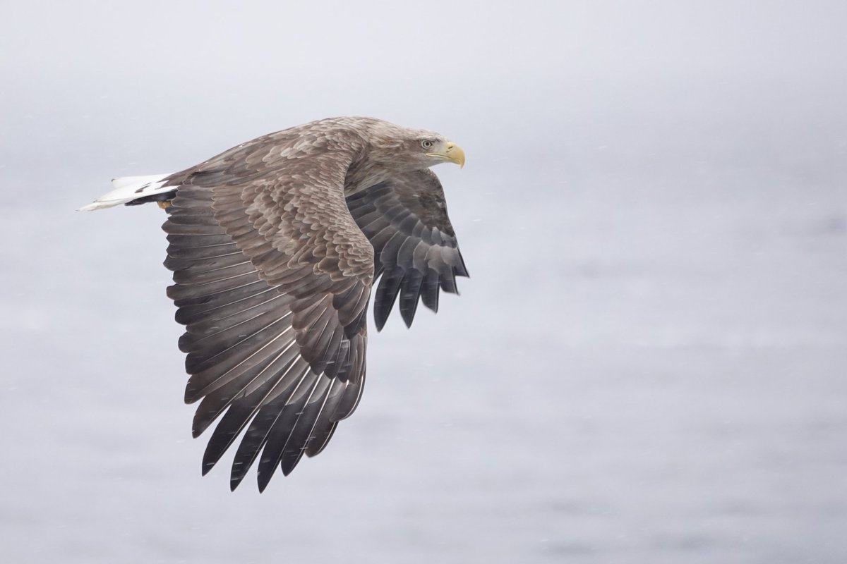 Mark Harper tweet media