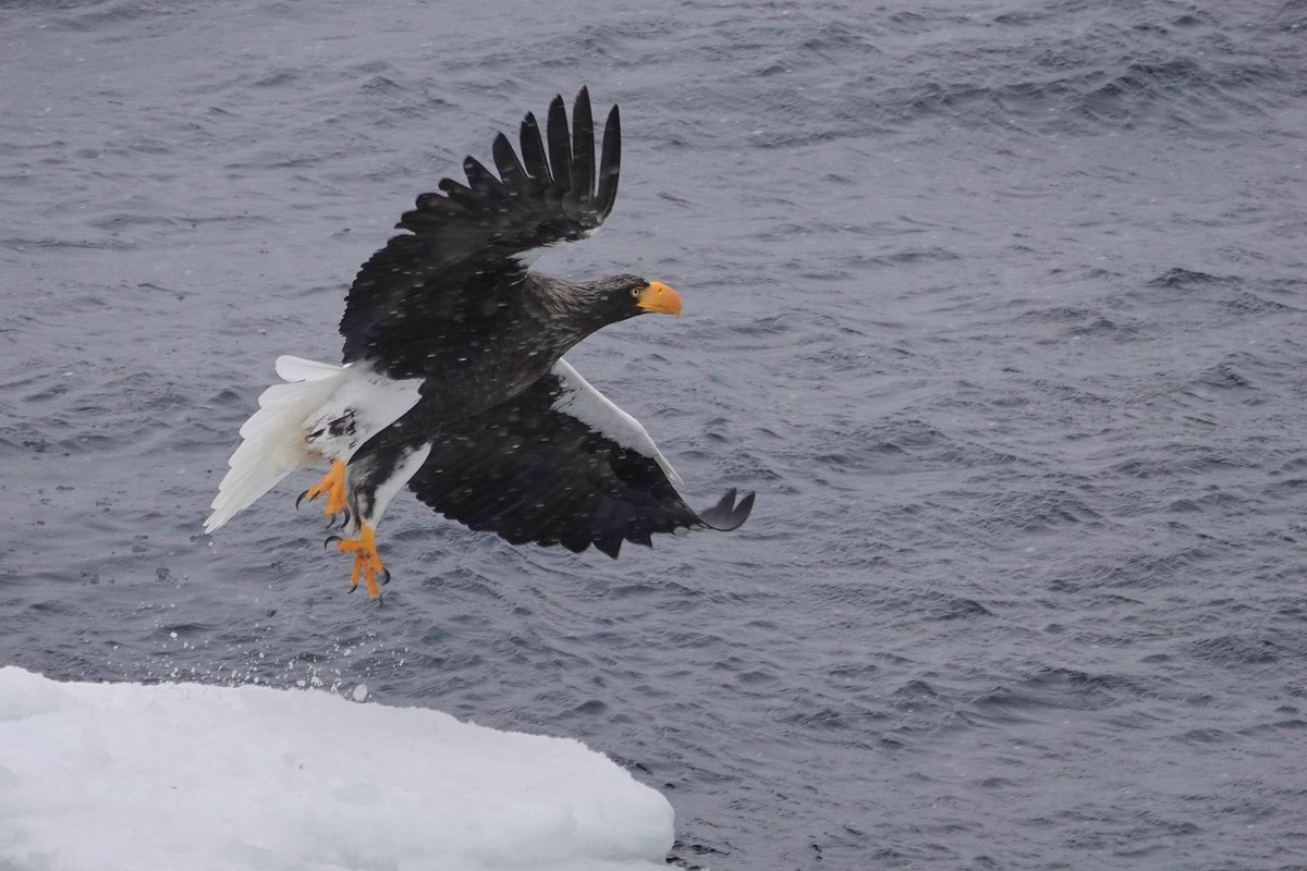 Mark Harper tweet media