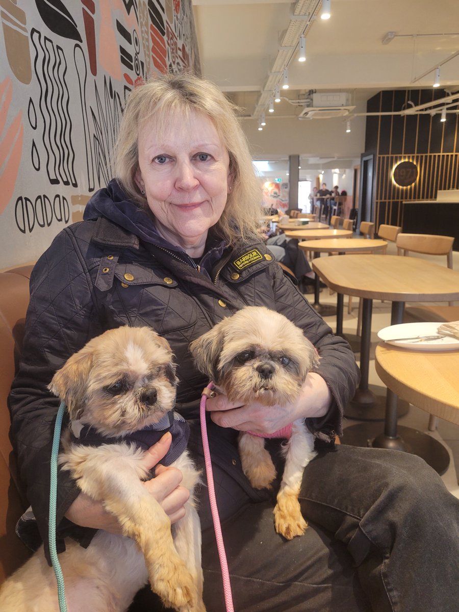 ROLDA Org tweet media