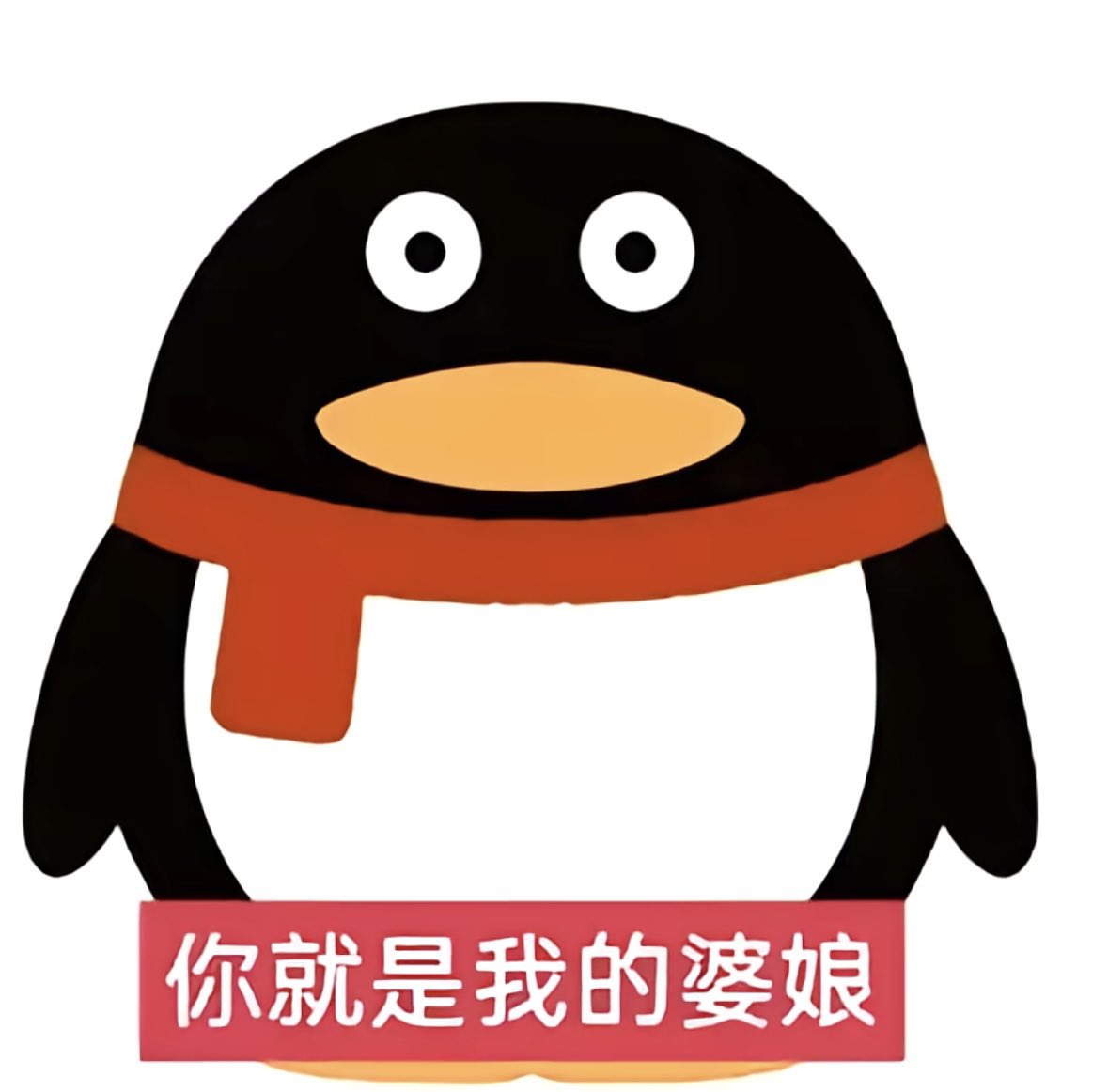 春日宴 tweet media