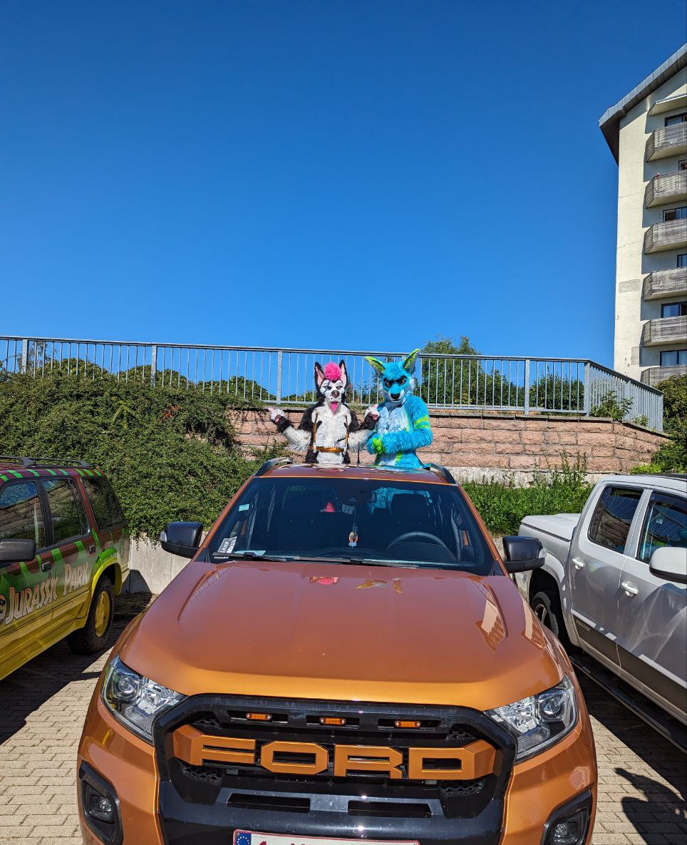 Zoomy @Darklands-SFJ tweet media