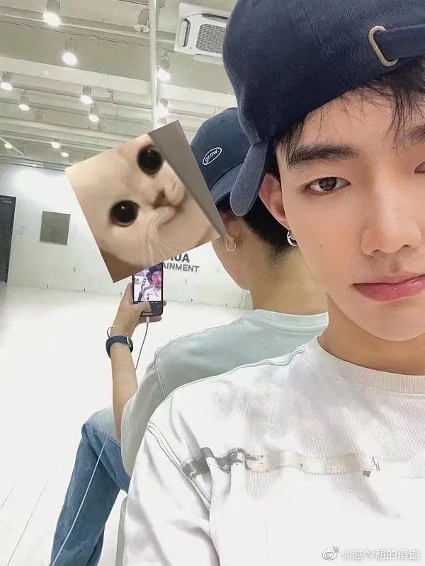 givemezh's tweet photo. 다이소 모자를 걸쳐도 브랜드 묻는 DM이 와 https://t.co/REALXCqZLz