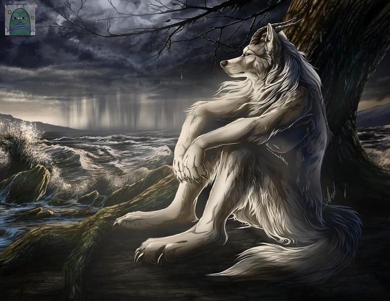 Tanyarlfes tweet media