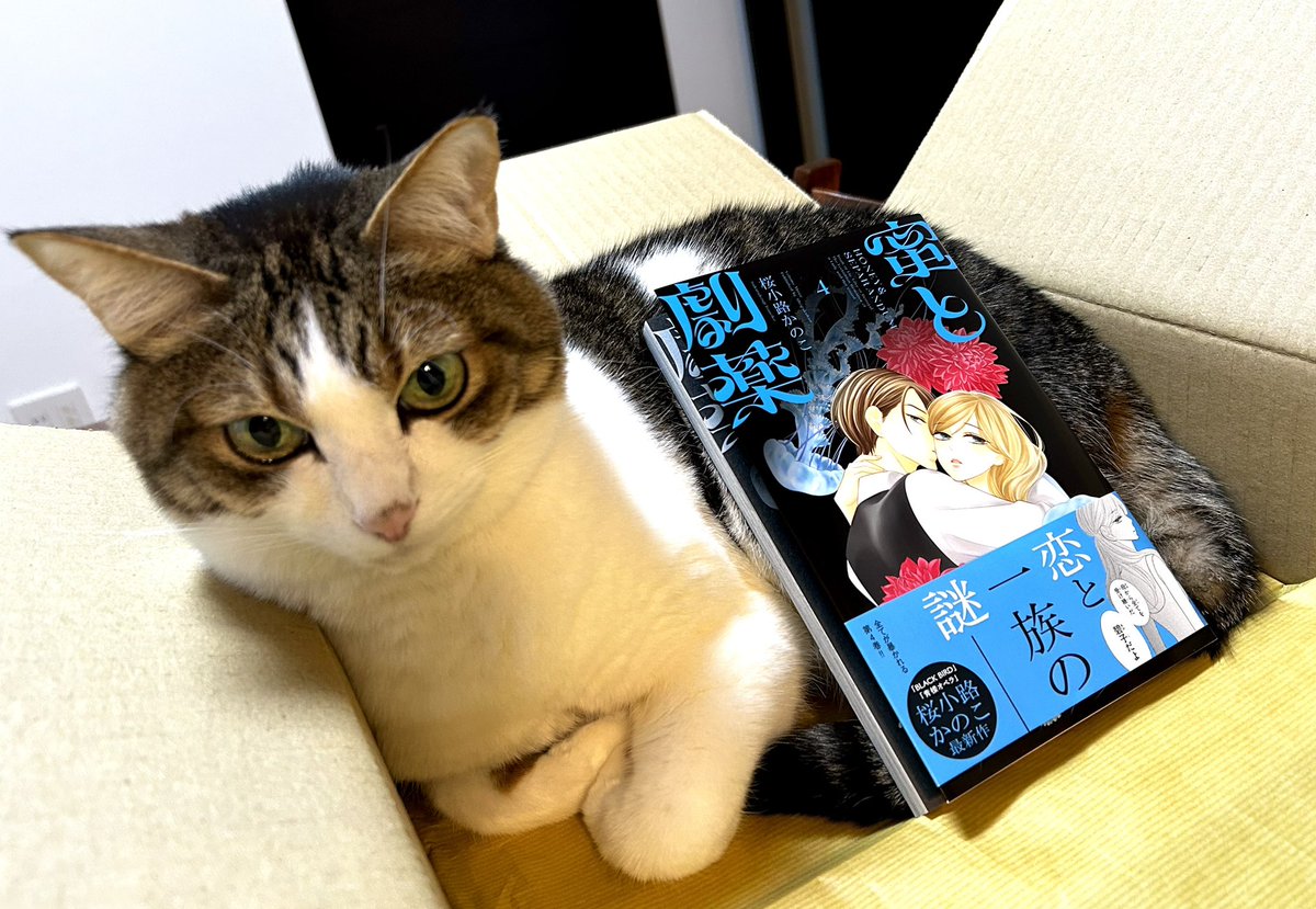 最新刊『 蜜と劇薬 』第4巻
発売中です🍯✨

碧子が色々しんどい目に合いますが
今まで伏せられていた秘密が明かされる巻です

紙でも電子でもお手に取っていただけたら嬉しいです😌