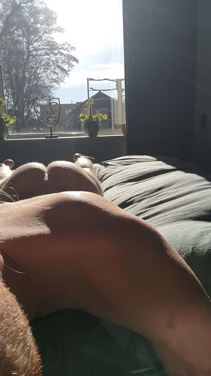 Tim 🇳🇱 tweet media