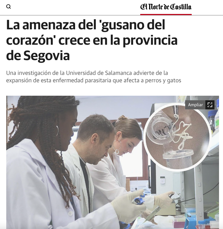 Rodrigo Morchón García tweet media