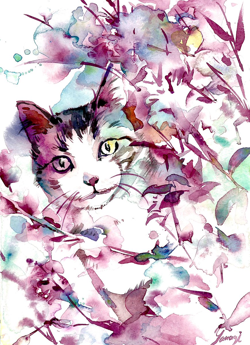 セキセイインコと猫 #透明水彩 #水彩画 #art #watercolor