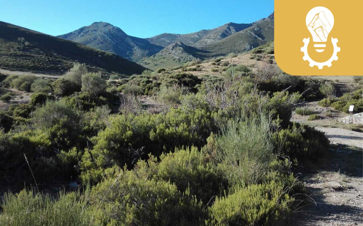 Euromontana's tweet photo. 💡This month, take a look at our #GoodPractices database for an inspiring example from Spain of how #TranshumantGrazing can be made more viable and attractive through a 360° innovative approach 🐐⛰️

Read more here 🔗 https://t.co/YCE6gw2xjj https://t.co/GTanM9rcLM