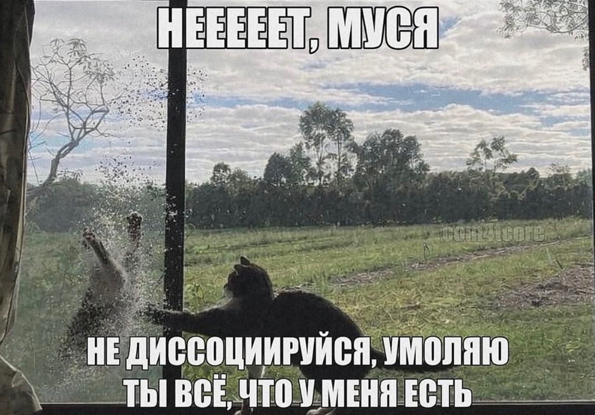 мокрица tweet media