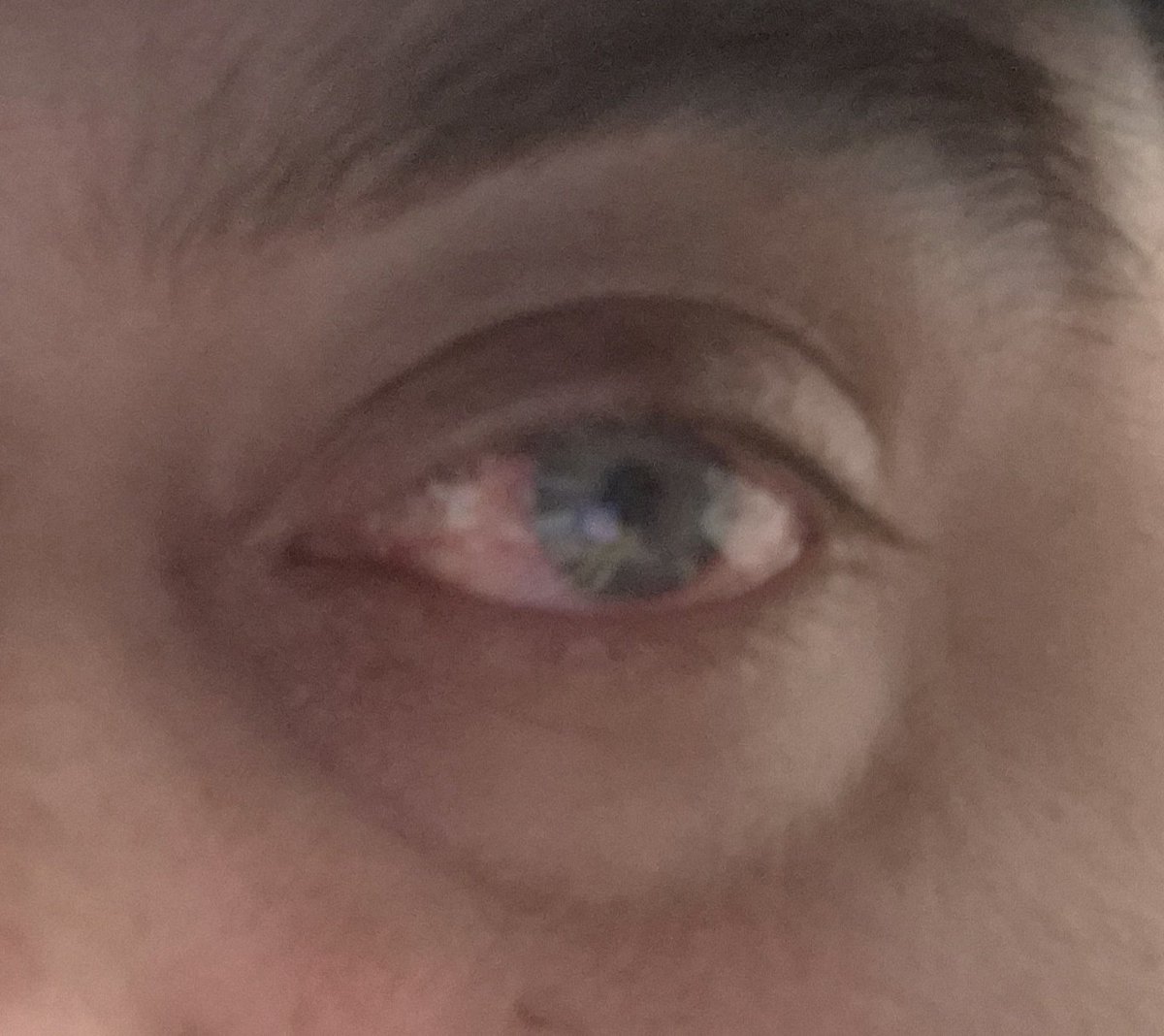 DanFMDatabases tweet media