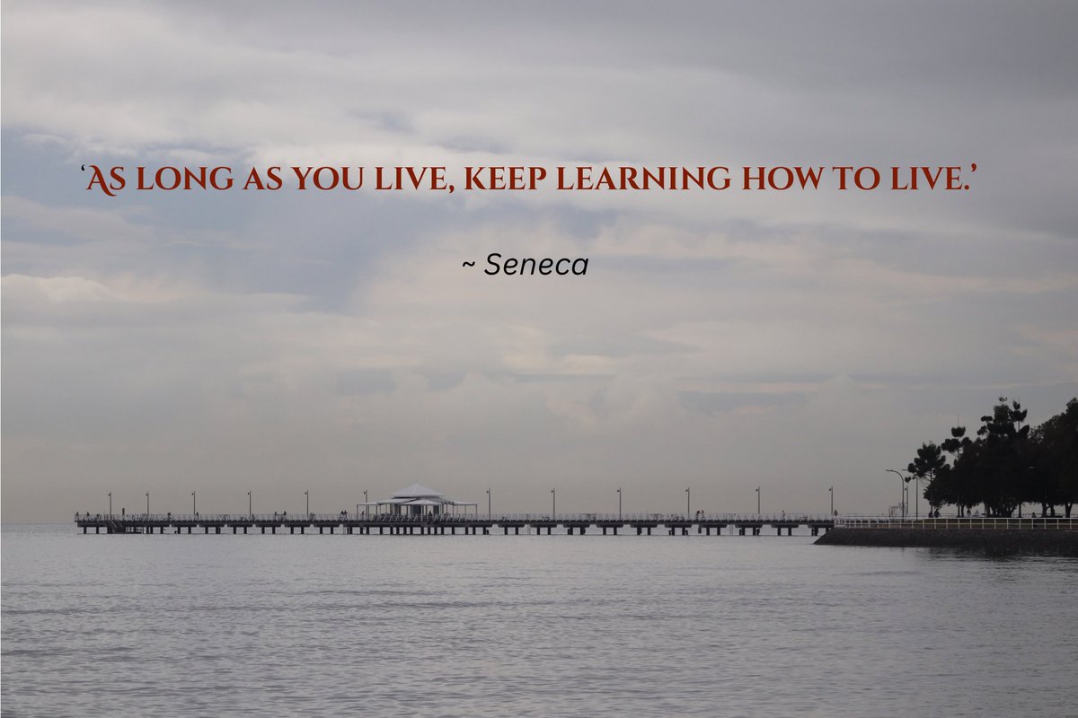 🏛️ Seneca has fast become my favourite philosopher. 

I know that Marcus Aurelius occupies that spot for many people, particularly historians, but try as I do, the epiphany moments don’t appear as they do with Seneca. 

No doubt it was his deep soul resonance that motivated Nero
