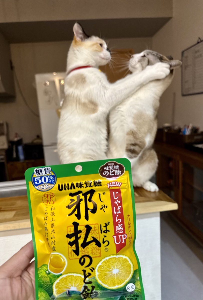 花粉症に効くと巷で噂の、邪払のど飴を手に入れたぞ！！！！！