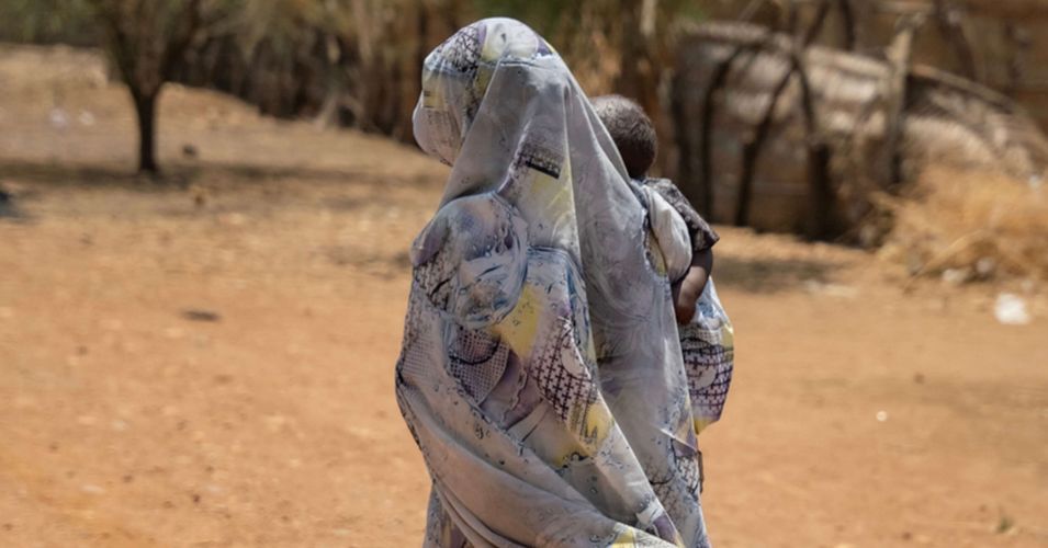 Paddy Mackel tweet media