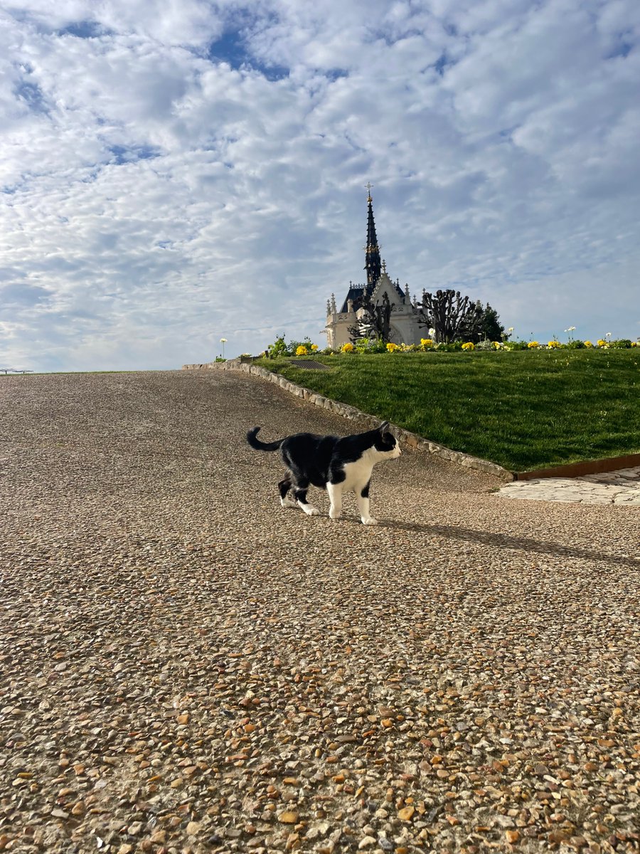 Château Royal d'Amboise tweet media