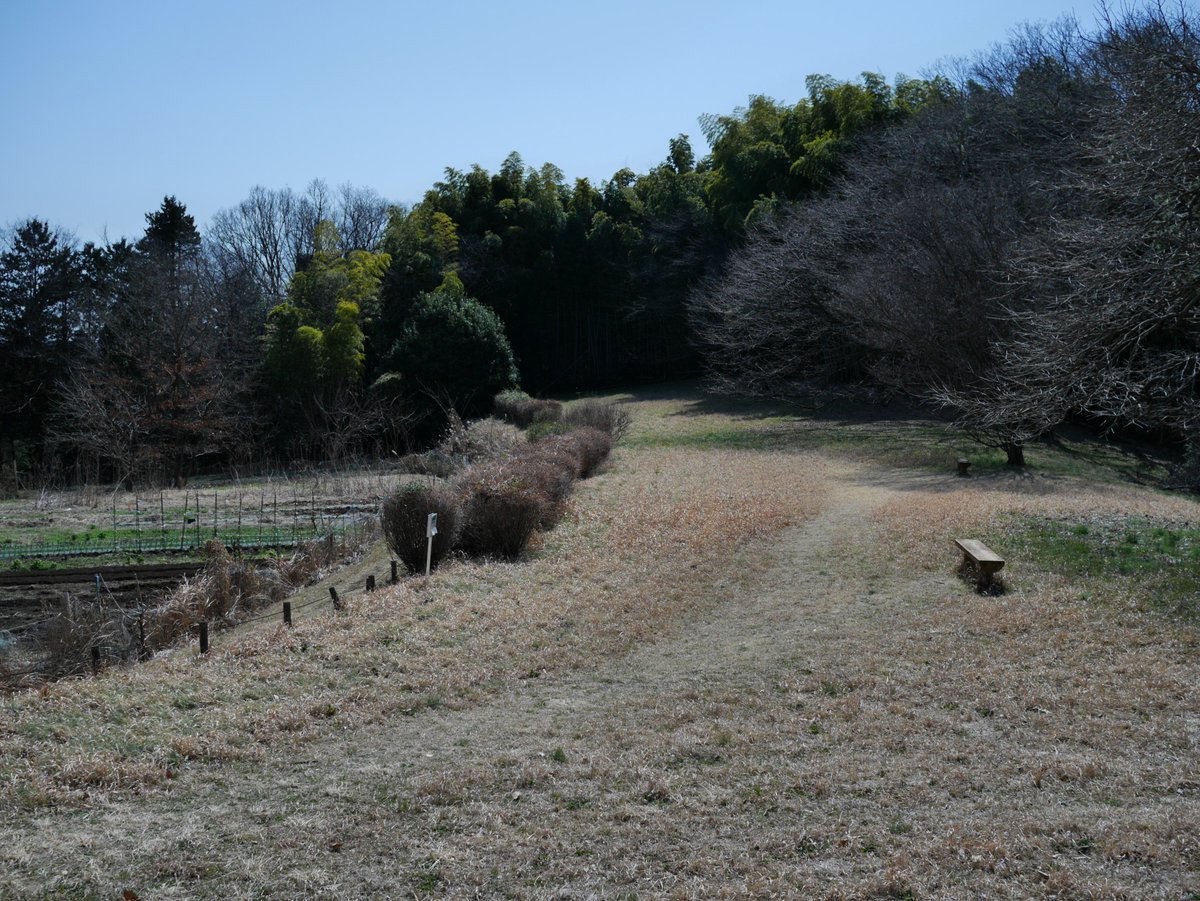 frak_ia's tweet photo. 唐木田→よこやまの道→小山田緑地→小野神社前

ハイキングのお供はGH5→GM5に。EVFが違いすぎて画角の違和感を感じる隙がなく、フレームへの意識が薄まった印象に。小さくて軽いのは正義だけど、もう少しファインダーに魅力があればと思いつつ、あるだけ感謝なのがGM5。

LUMIX G 20mm F1.7 II https://t.co/IIqlFGowSK