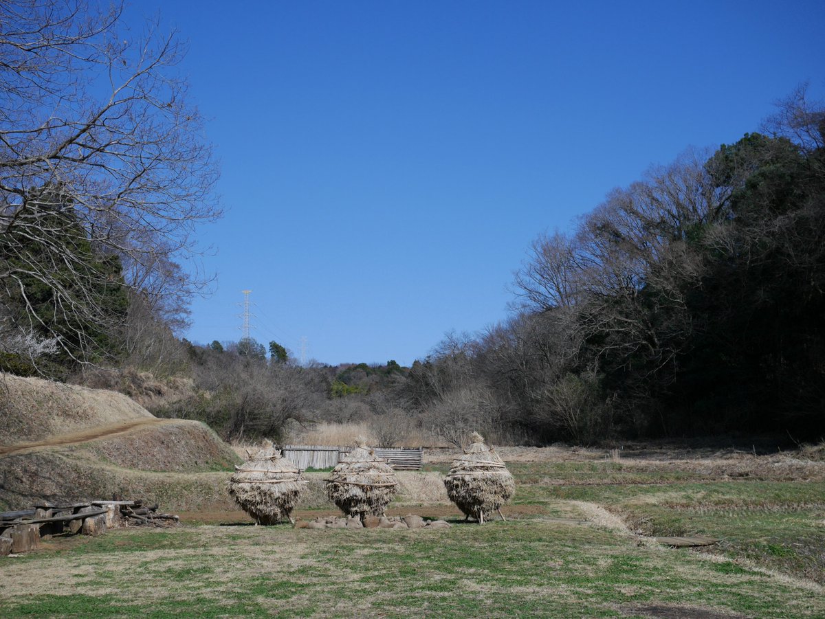 frak_ia's tweet photo. 唐木田→よこやまの道→小山田緑地→小野神社前

ハイキングのお供はGH5→GM5に。EVFが違いすぎて画角の違和感を感じる隙がなく、フレームへの意識が薄まった印象に。小さくて軽いのは正義だけど、もう少しファインダーに魅力があればと思いつつ、あるだけ感謝なのがGM5。

LUMIX G 20mm F1.7 II https://t.co/IIqlFGowSK