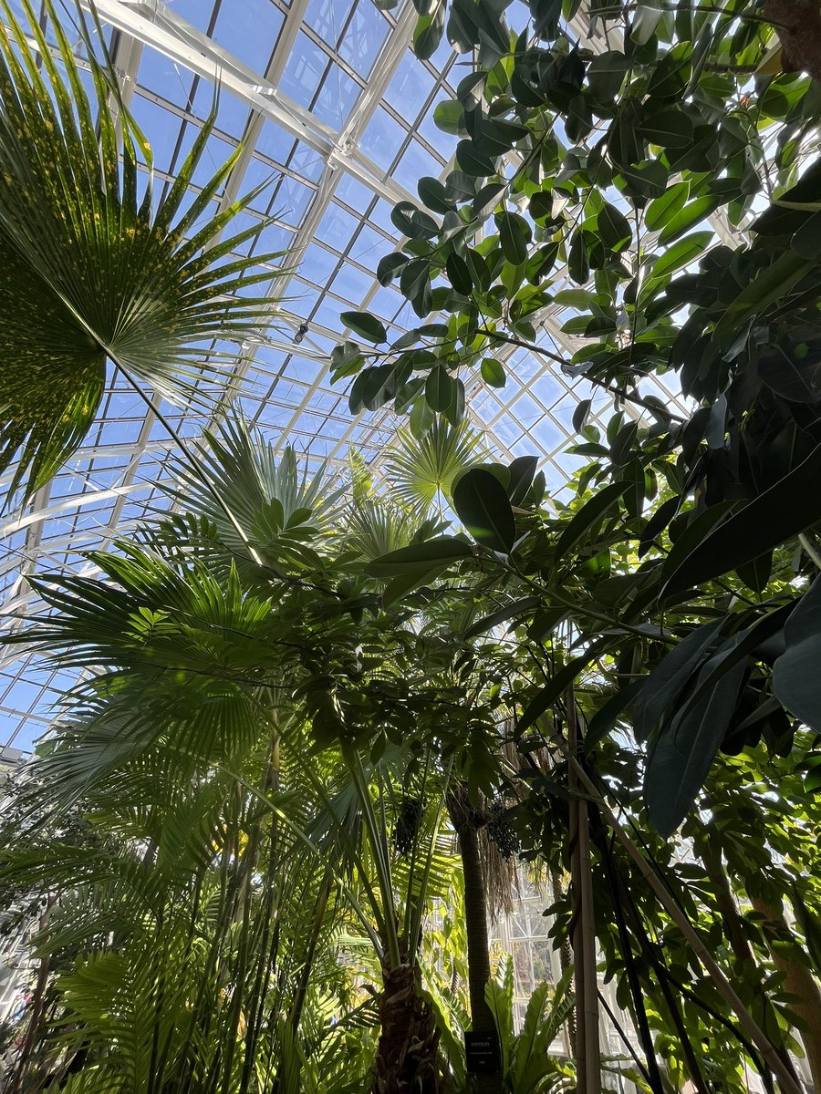 いつもいろんなことを考えて想定してくれるけど、一番はそれを押し付けずに選択肢を与えてくれるところ。ぼくの意見も聞いてくれる。
お互いのニーズがわかってると、何もぶつからないから不思議。