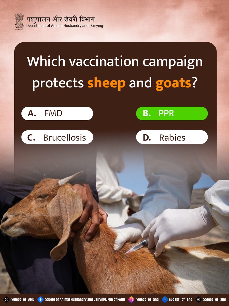 Dept_of_AHD's tweet image. 👇 Choose the correct option and share your answer in the comments!

#AnimalHealth #PPR #LivestockCare #SheepFarming #GoatFarming #VaccinationDrive #DiseasePrevention #AnimalHusbandry