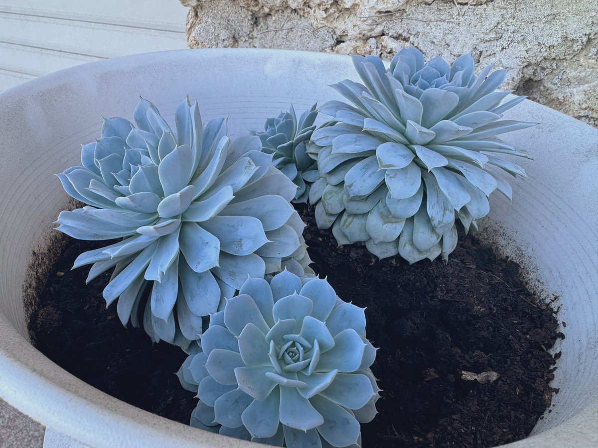 嘿～是H ☆ tweet media