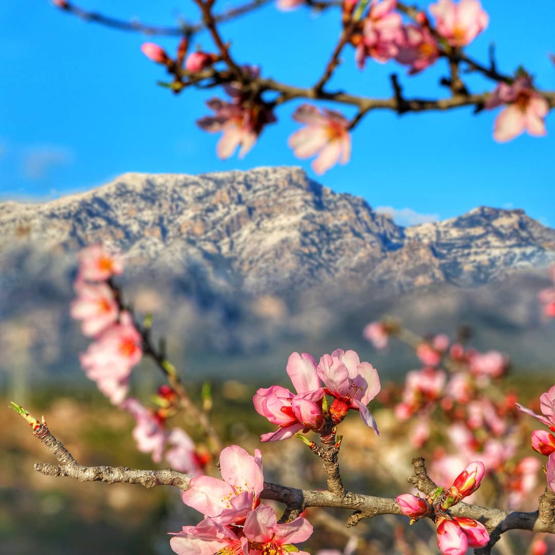 Terres de l'Ebre tweet media