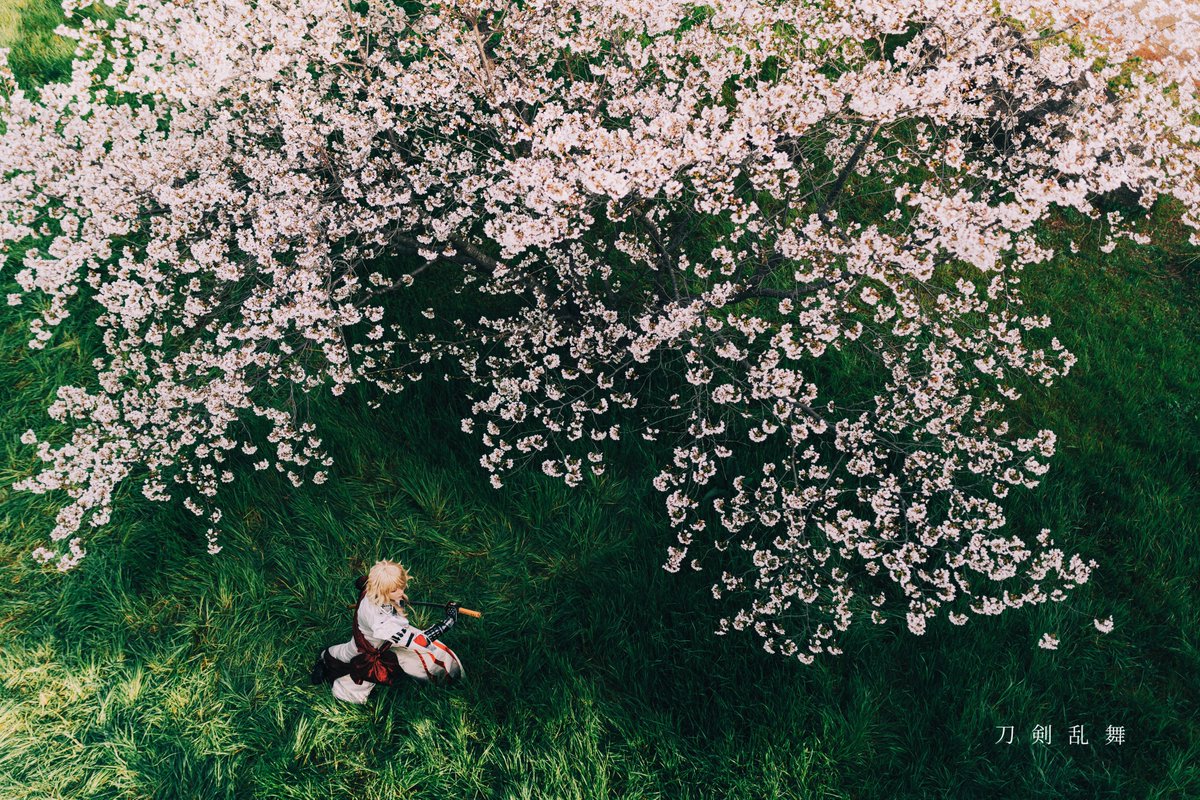 はのか tweet media