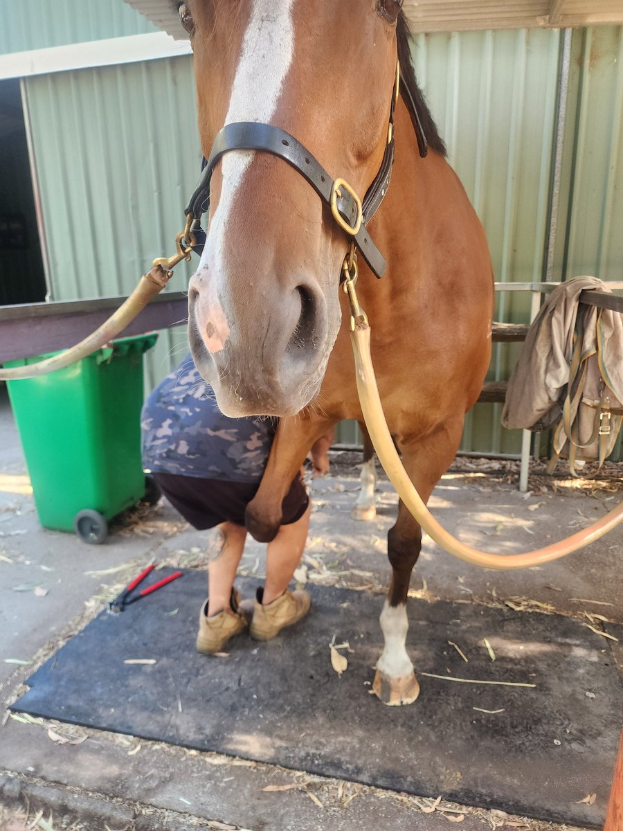 Eeyore Lodge Racing tweet media