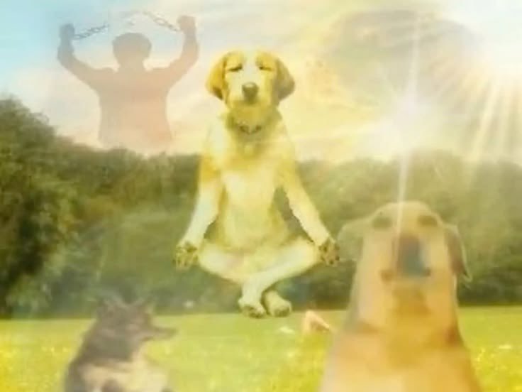 andrywish's tweet image. Alexa tocar “Mágica” do calcinha preta