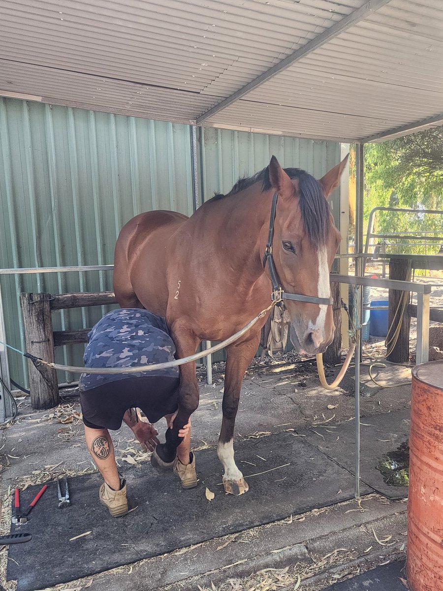 Eeyore Lodge Racing tweet media