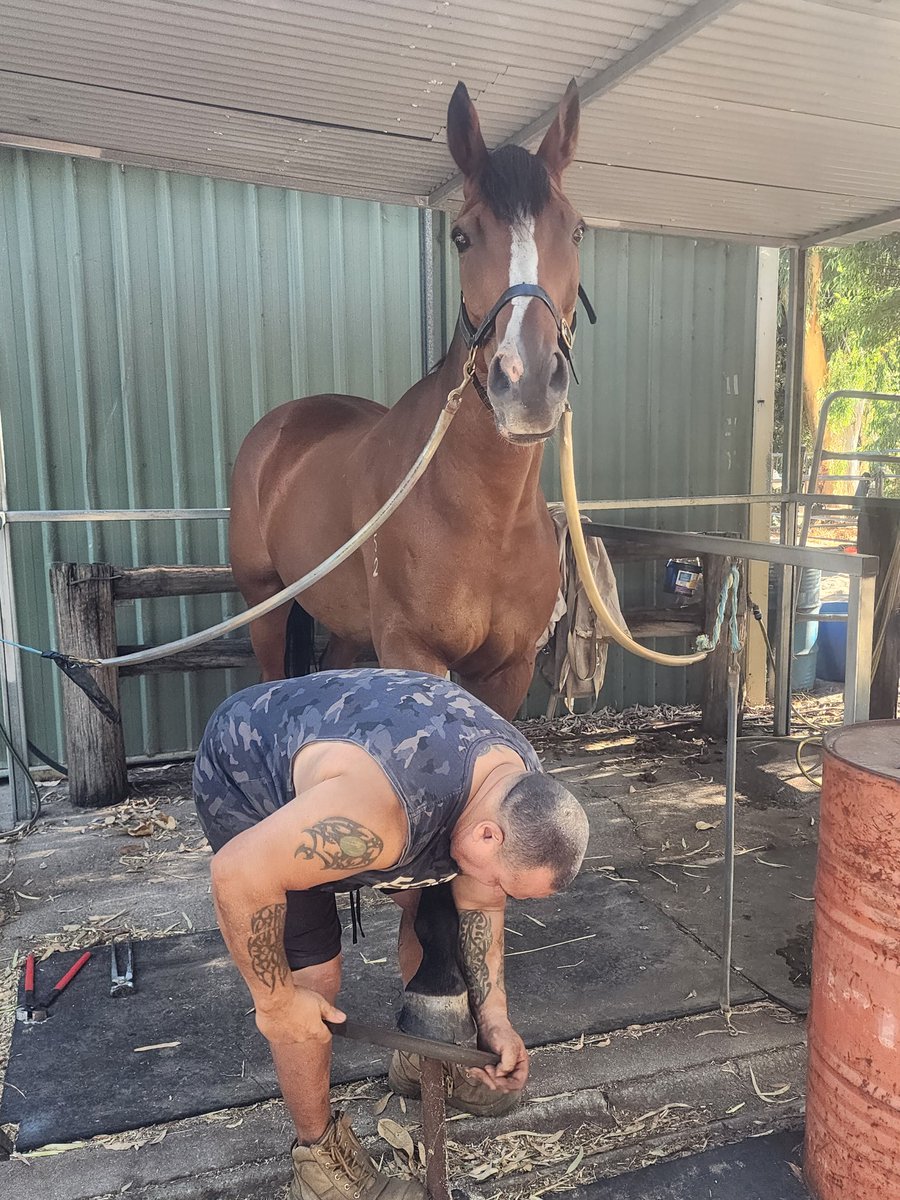 Eeyore Lodge Racing tweet media
