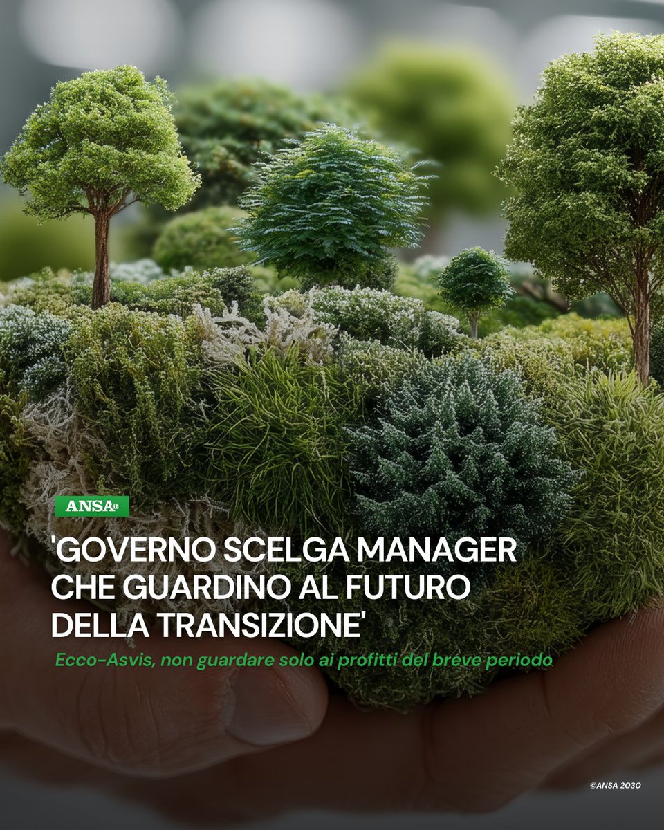 ANSA 2030 tweet media