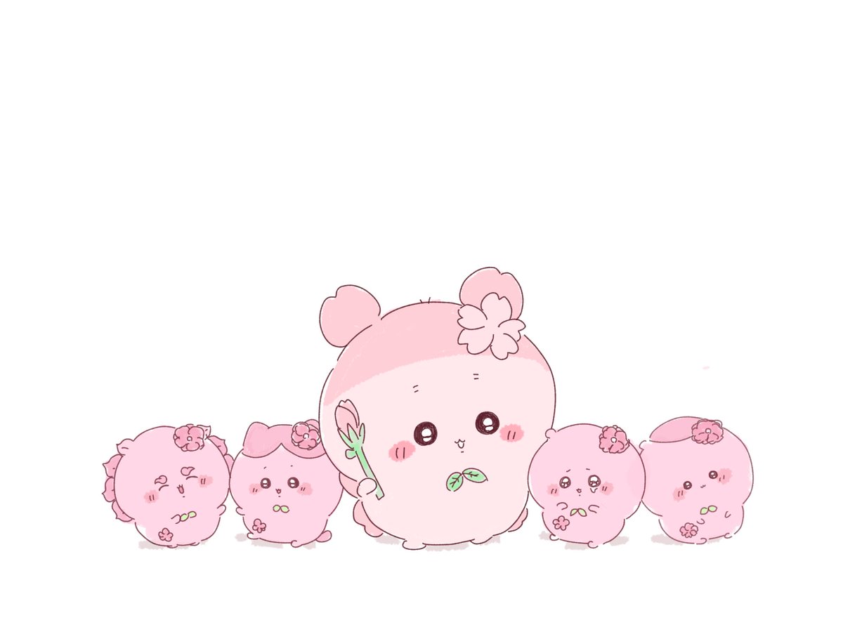 🌸🌸🌸🌸🌸🌸