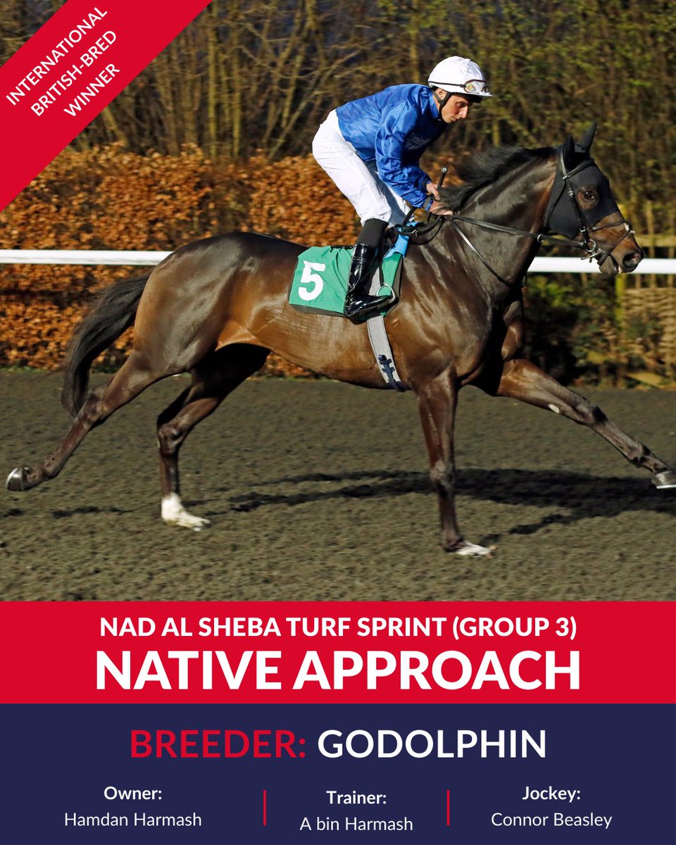 The Thoroughbred Breeders’ Association (The TBA) tweet media