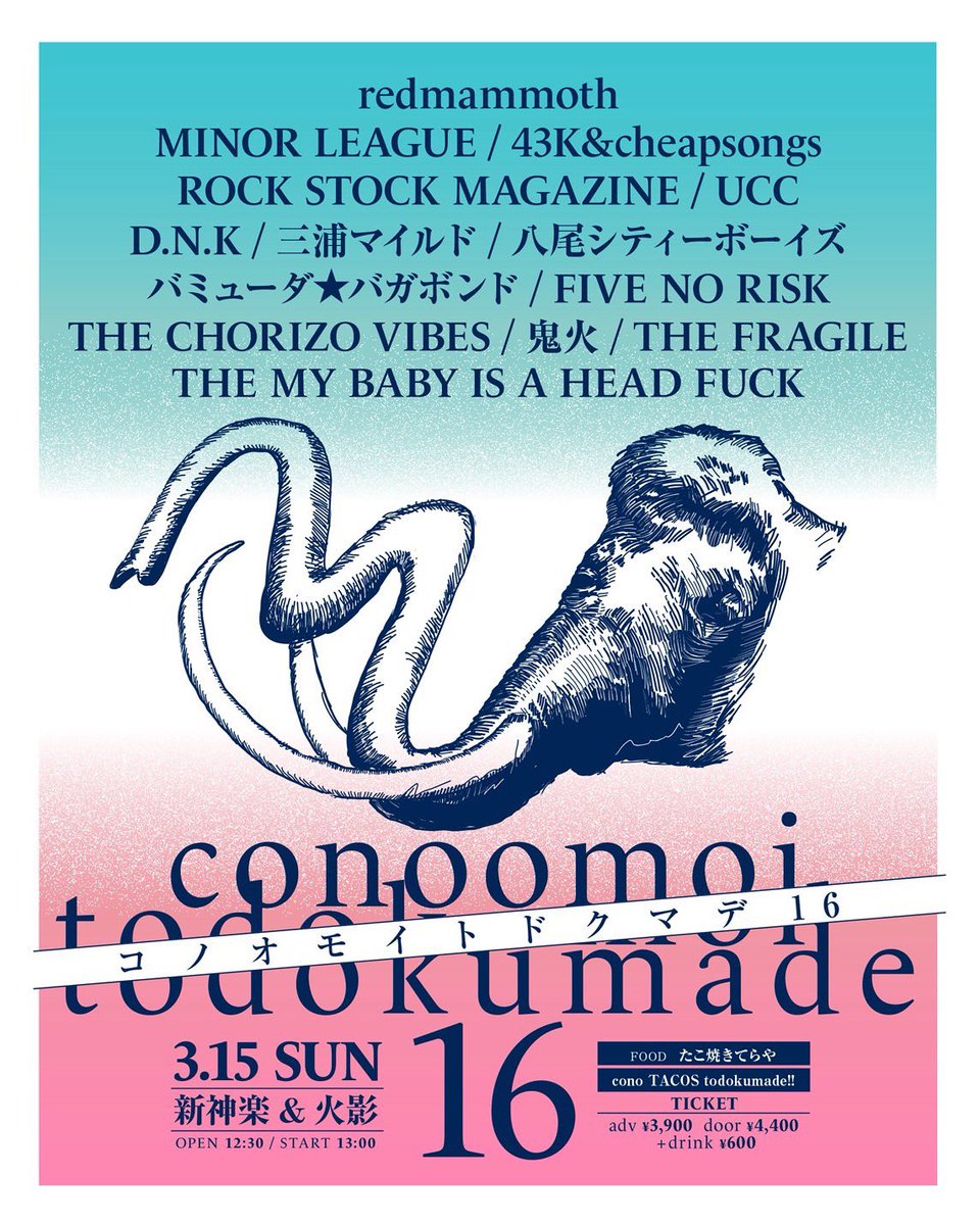 FIVE NO RISK tweet media