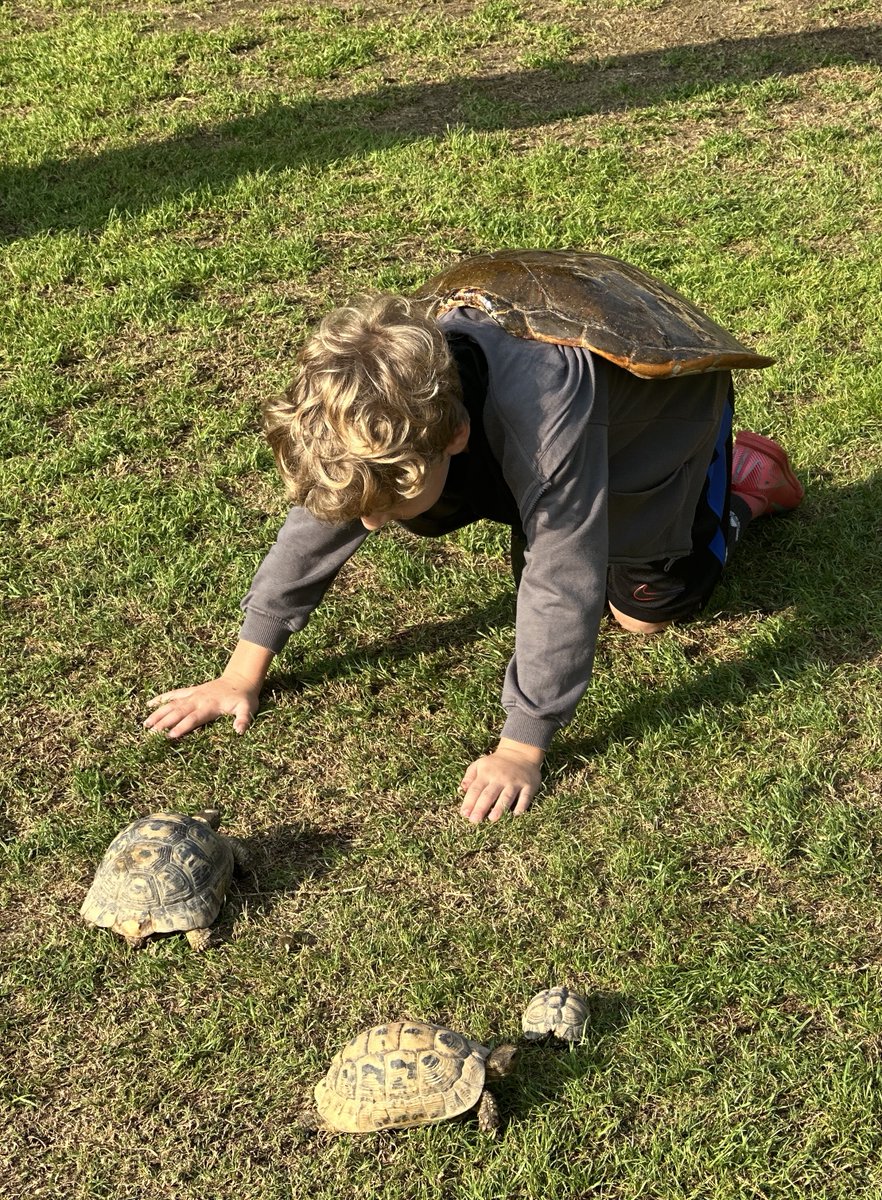 Cairo American College tweet media