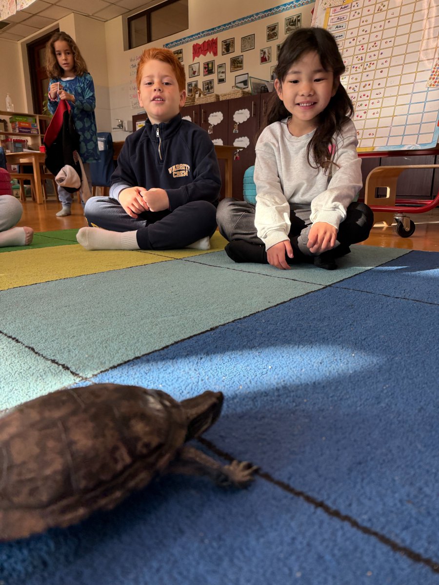 Cairo American College tweet media