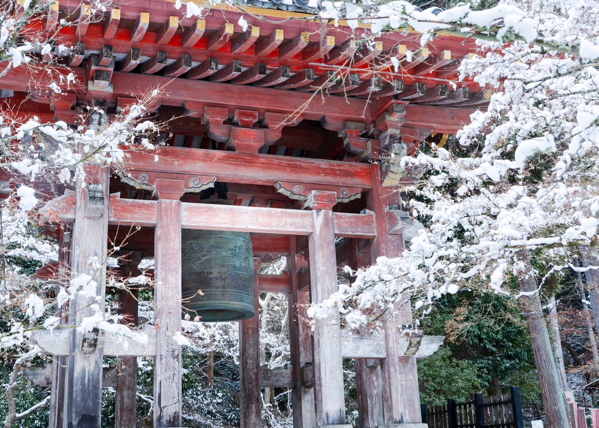 京都の冬景色
　醍醐寺
#京都よきかな 
#京都の四季 
#京都の風景