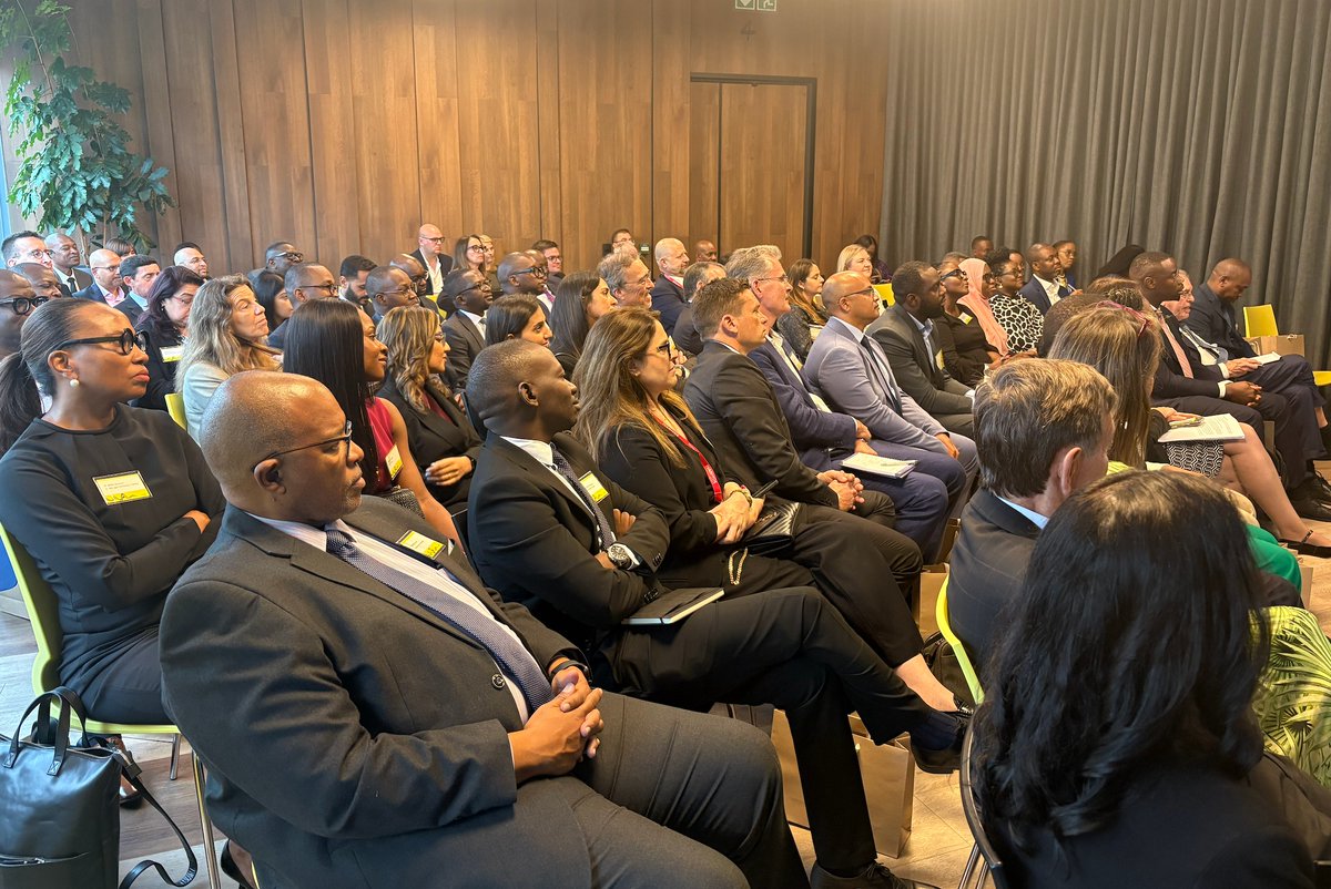 AfricanFutures tweet media