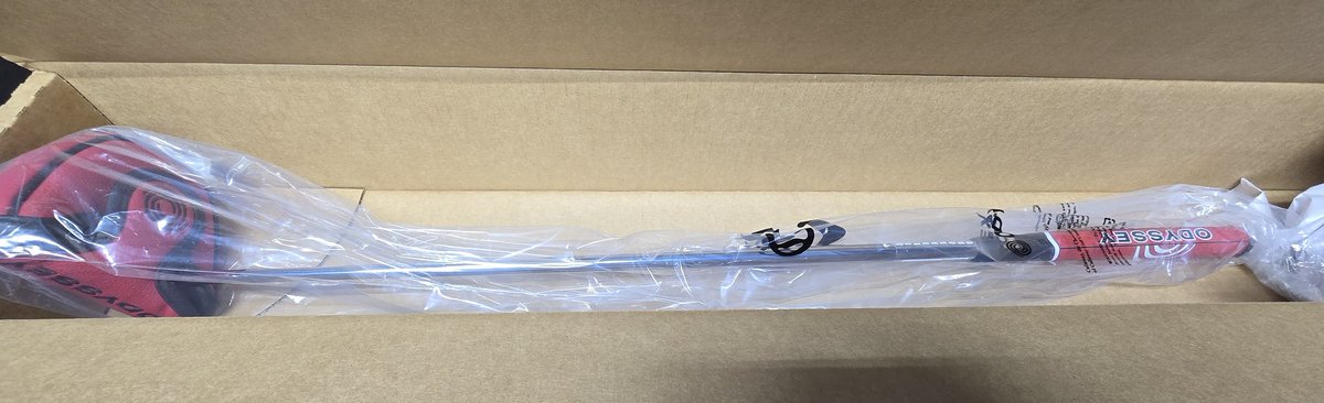 Wally⚡️West tweet media